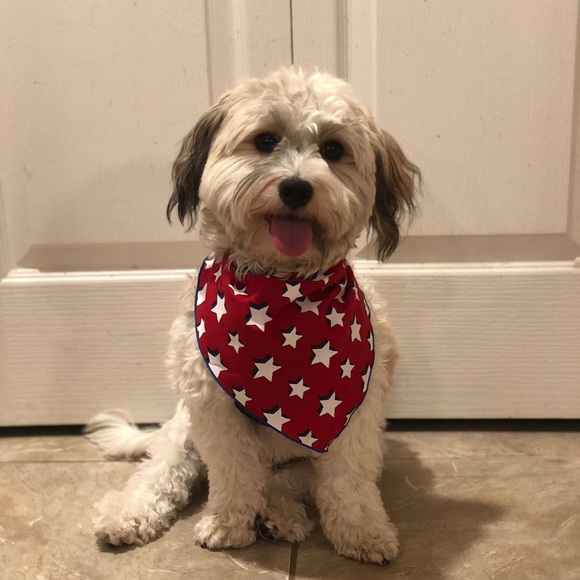 Meet your Posher, Allison - Picture 5 of 5